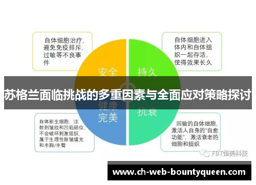 苏格兰面临挑战的多重因素与全面应对策略探讨